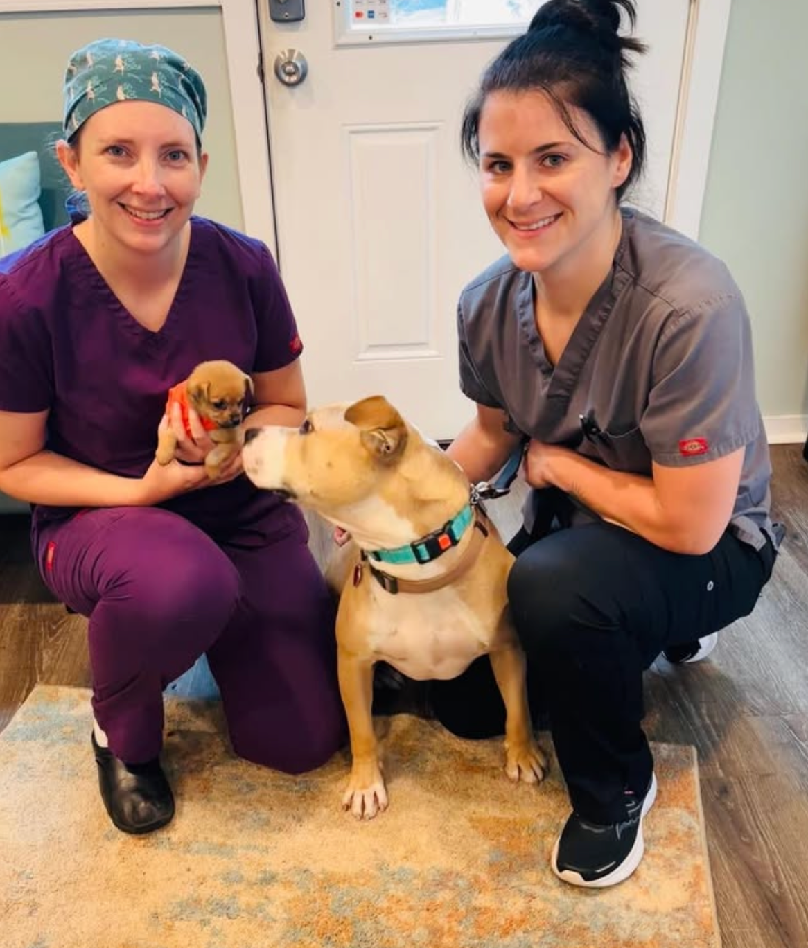 August Third Friday with Save-a-Pet!  Friday, 8/15/25, 6:30pm - 8:00pm,  Presentation by Erica Moldashel at The Reboli Center